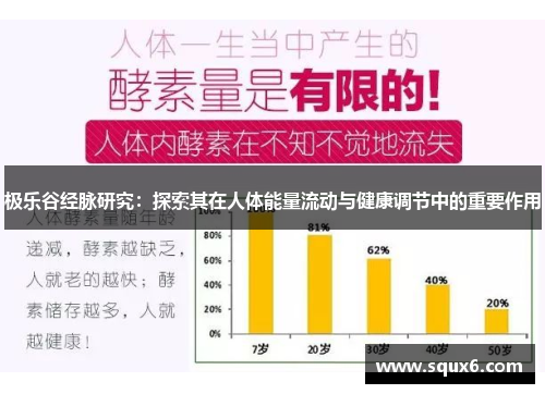 极乐谷经脉研究：探索其在人体能量流动与健康调节中的重要作用