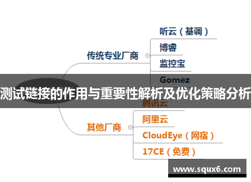 测试链接的作用与重要性解析及优化策略分析